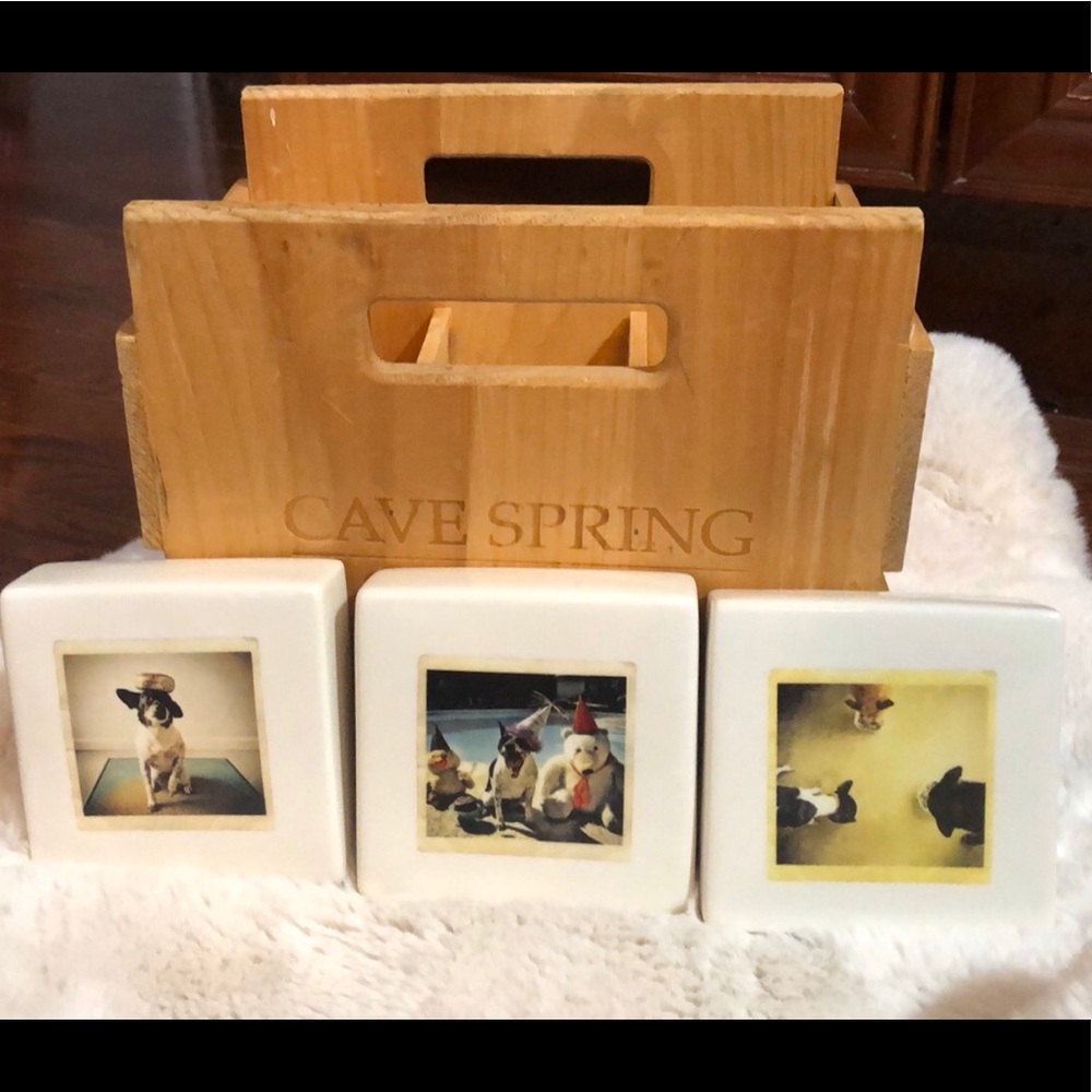 Set of 3 Rae Dunn Polaroid Artisan Paperweights ‘throw yourself a dog party’